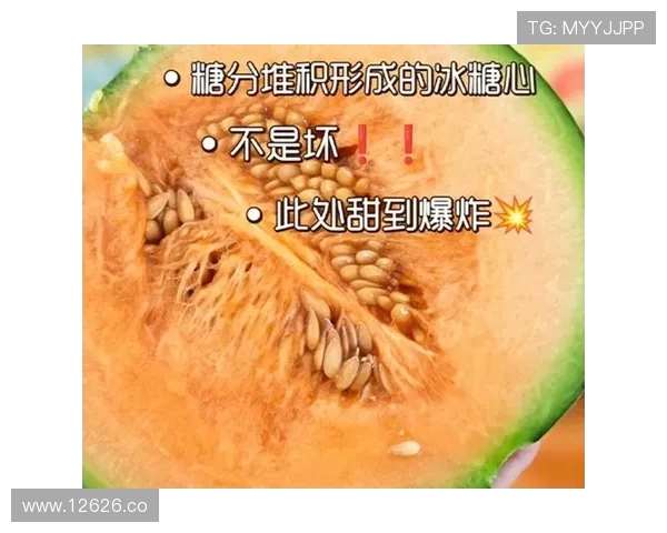 2024年91吃瓜爆料最震惊的事件盘点